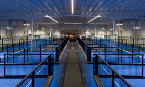 OALMA_PADEL_RB_0013-min